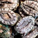 진도특산물 이미지