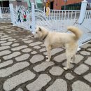 문경가축병원 이미지