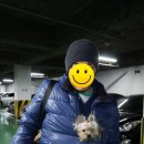 나나리펫하우스 이미지