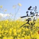 오늘도참예쁘다