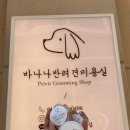 바나나 반려견 미용실 이미지