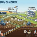 스마트 이미지