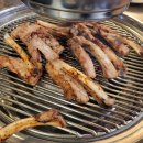 원시쪽갈비 이미지