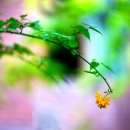 봄을 그리다 이미지