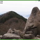 서학사 Daum카페