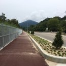 관전도서관 이미지