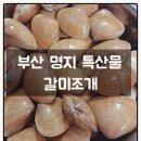 오리와삼겹살의만남 | [공지] 부산 강서구 명지 특산물 겨울제철 갈미조개 삼겹살의 만남 맛집조개일번가