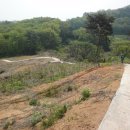 인계초교-3구간 이미지