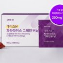 파라다이슨 이미지