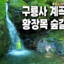 강원도 원주 가볼만한곳 8월 치악산국립공원 구룡사 계곡 비로봉 등산코스 이미지