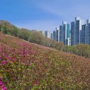 2026년4월16일 수리산 (수리산역-초막골생태공원-임도오거리- 노랑바위) 1 이미지