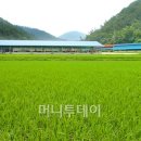 강진 맥우농장 이미지