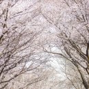 양정펌프장 이미지