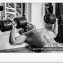 오늘부터 운동PT 이미지