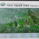 통큰딱다구리 이미지