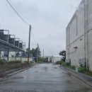 경포교차로 부근 이미지