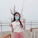 대관령로뎀나무 | [평창여행 1일차] 평창 가볼만한 곳|용평리조트 놀거리