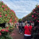 랜드휴
