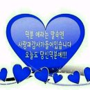 유니호텔 이미지