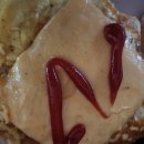 오늘은 샌드위치 이미지