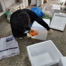 산막상회