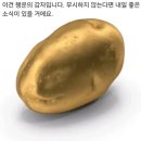 영랑생가 (강남교회) | 어나더블로그