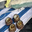 울릉대박펜션 | 8월 초 울릉도 여행 3박4일 리얼 후기(오징어회센터,울릉냉삼, 몽돌해변, 비용, 아이템추천 등)