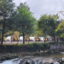 숲속에 머물다 이미지