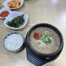 곰식이카 | 2023.10 제주도여행 / 추석캠핑 / 임밍아웃🧸❤