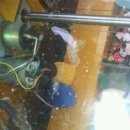 뽑기의 신 이미지