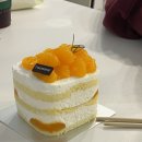 나를 발견하는 스피치 | #10월 “나의 목소리를 발견하는 시간” 스피치 특강