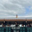 주식회사 꿀잼스튜디오 | 프랑스 파리 디즈니랜드 클룩 입장 티켓 구매 및 어트랙션 이용 및 디즈니 성 포토존 명당 소개 및...