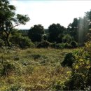 표선면-14 이미지