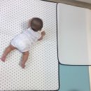 마냥귀엽개 | 굿나잇베이비쿨매트 굿잠~~!! 에코스토어로션으로 꿀피부되다!!