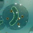 백수약국 이미지