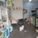 개폼나개 이미지