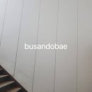 도배의 명가