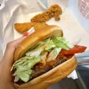 (주) 나날이 | 나날이 짙어지는 나의 이중성