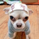 이개누구개 | [컬러스 클럽]이 ㅈㄴ 미친 파티 니네끼리만 다녔다고,,,?나 ㅈㄴ 소외감늑겨,, 컬러스 클럽 후기(1)