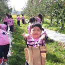 문충초 병설유치원 이미지