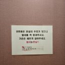 당리동-3 | 유방초음파 정기검진 후기 / 부산 사하구 당리동 [나비유박외과]