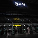 경주 휴에이 | 5월 4일 당일치기 경주월드 후기(눈치싸움 처참히 실패🤣)