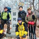 (주)청옥 Daum카페