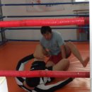 포항이종격투기 이미지