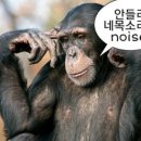 개맛도리 이미지