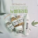물폭탄효과 뉴셀테라피