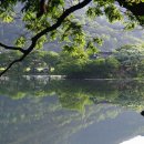 굴비한두름 이미지