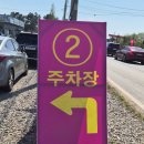 태안군장애인복지관 | [충남/태안] 튤립향기 가득했던 2026 세계튤립꽃박람회 후기