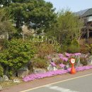 석현마을 건너편 이미지