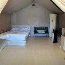 멍글멍글 이미지